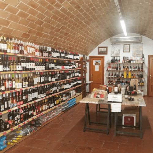 bodega ca tino (3) (1)